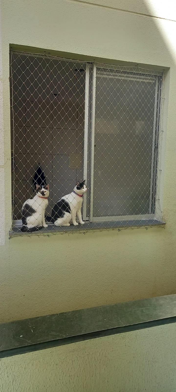 Rede de Proteções Sete Lagoas  -.- (19).jpeg